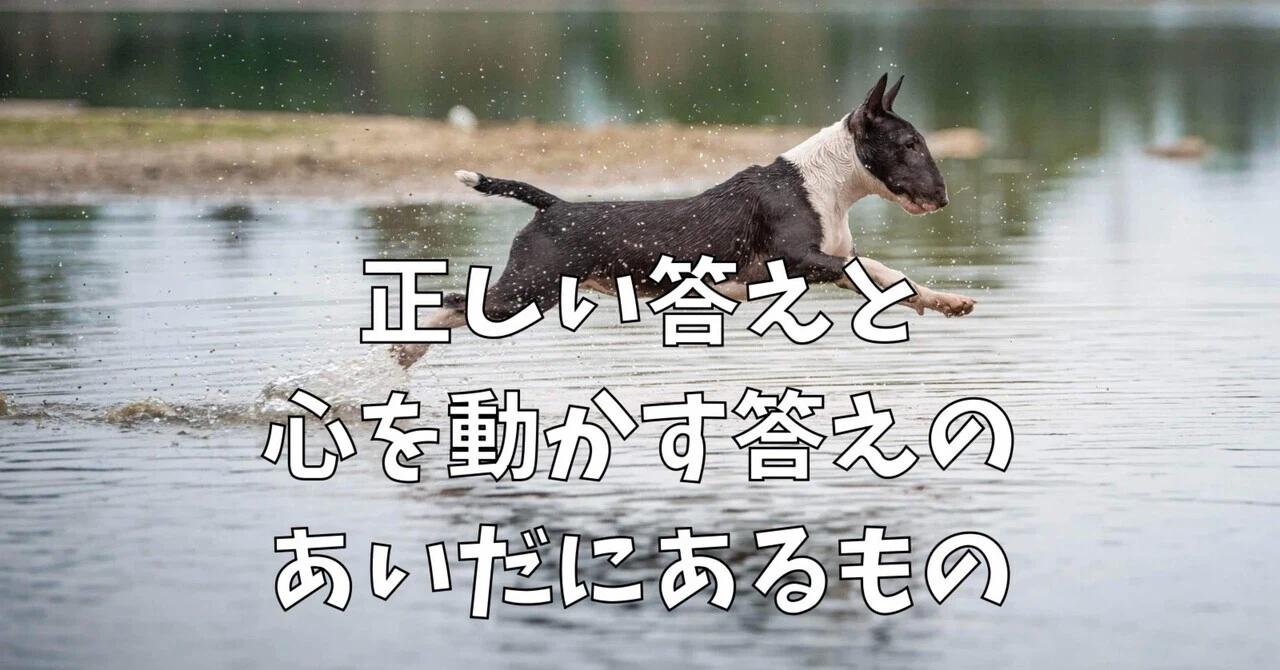 正しい答えと心を動かす答えのあいだにあるもの