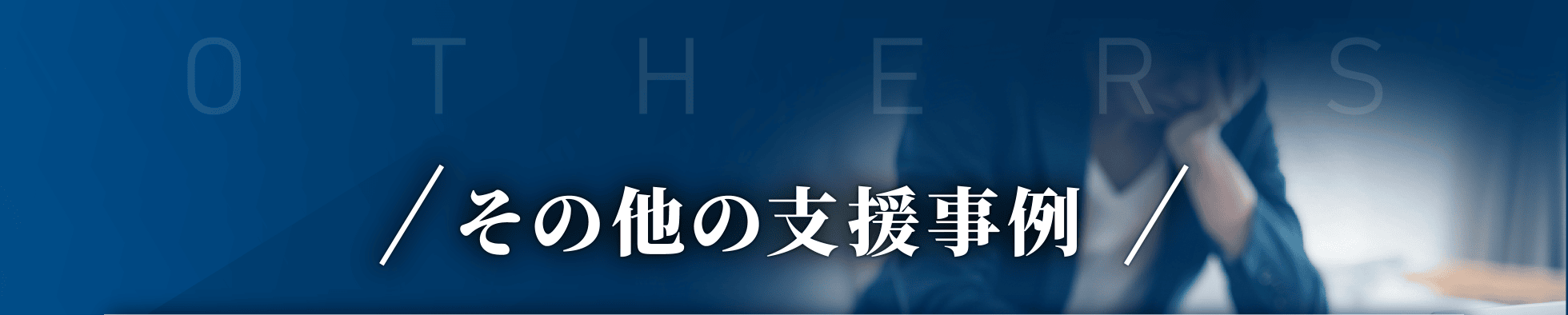 その他の支援事例