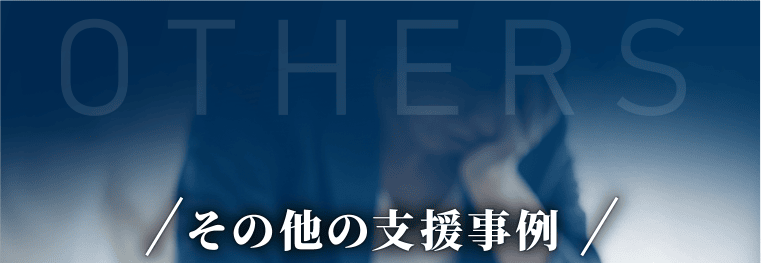 その他の支援事例