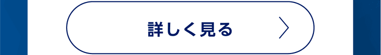 詳しく見る