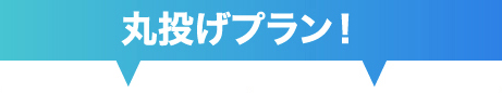 丸投げプラン！