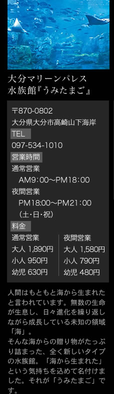 眺望の宿しおり観光情報