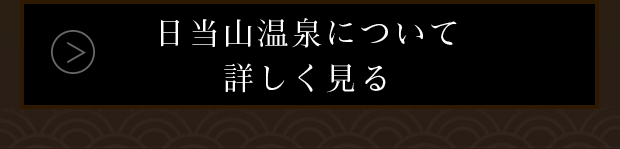 日当山温泉について詳しく見る